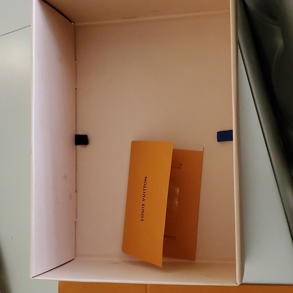 Louis Vuitton Shoe Box and Dust Bags - Picture 4 of 7